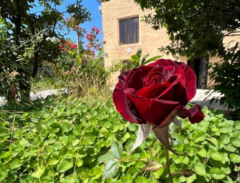 Hotel G I O Samtredia Buitenkant foto