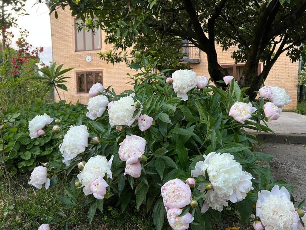 Hotel G I O Samtredia Buitenkant foto