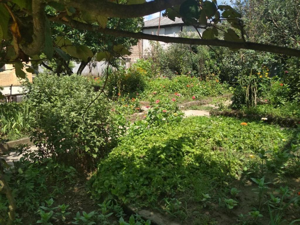 Hotel G I O Samtredia Buitenkant foto